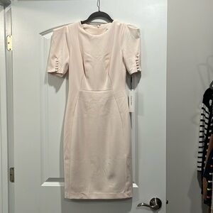 NWT Button Sleeve Calvin Klein Dress